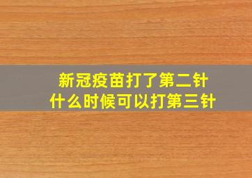 新冠疫苗打了第二针什么时候可以打第三针