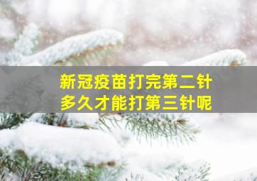 新冠疫苗打完第二针多久才能打第三针呢