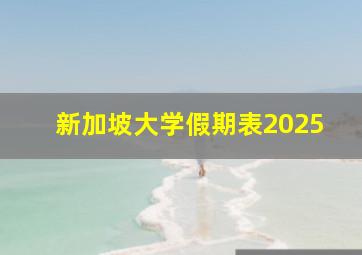 新加坡大学假期表2025