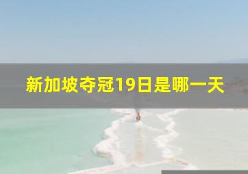 新加坡夺冠19日是哪一天