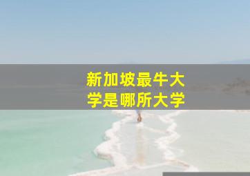 新加坡最牛大学是哪所大学