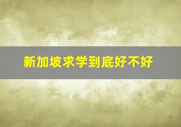 新加坡求学到底好不好