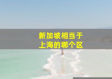 新加坡相当于上海的哪个区