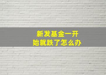 新发基金一开始就跌了怎么办