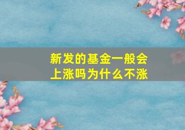 新发的基金一般会上涨吗为什么不涨