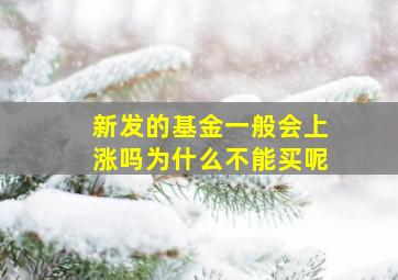 新发的基金一般会上涨吗为什么不能买呢