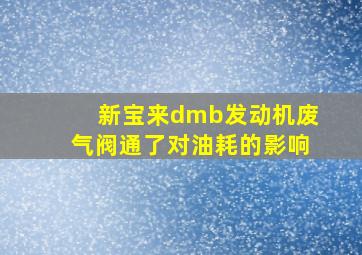 新宝来dmb发动机废气阀通了对油耗的影响