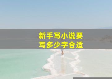 新手写小说要写多少字合适