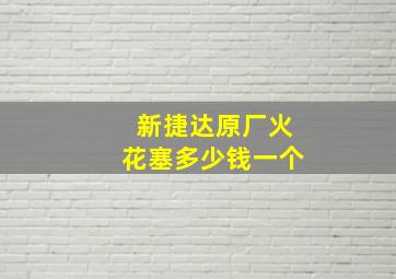 新捷达原厂火花塞多少钱一个