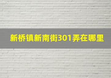 新桥镇新南街301弄在哪里