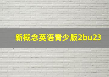 新概念英语青少版2bu23