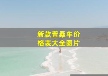 新款普桑车价格表大全图片