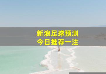 新浪足球预测今日推荐一注