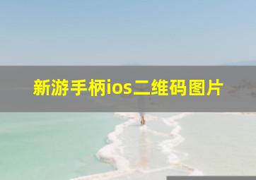 新游手柄ios二维码图片