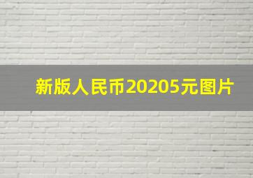 新版人民币20205元图片