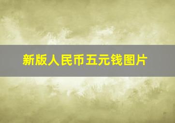 新版人民币五元钱图片