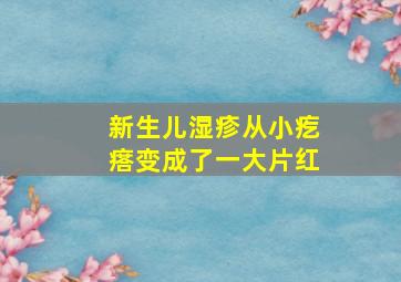 新生儿湿疹从小疙瘩变成了一大片红