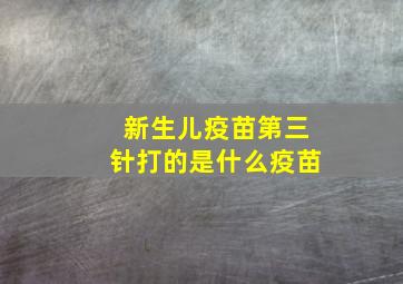 新生儿疫苗第三针打的是什么疫苗