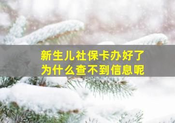 新生儿社保卡办好了为什么查不到信息呢