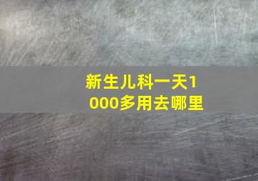 新生儿科一天1000多用去哪里