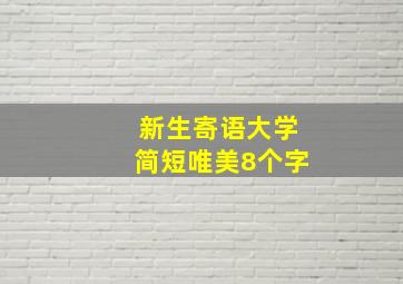 新生寄语大学简短唯美8个字