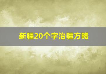 新疆20个字治疆方略