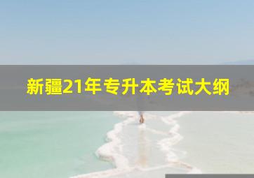 新疆21年专升本考试大纲