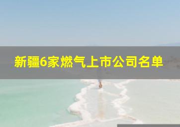 新疆6家燃气上市公司名单