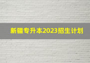 新疆专升本2023招生计划