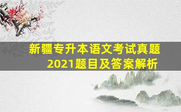 新疆专升本语文考试真题2021题目及答案解析