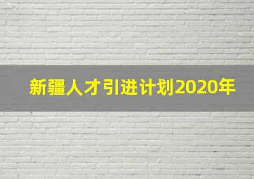 新疆人才引进计划2020年