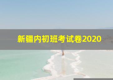 新疆内初班考试卷2020