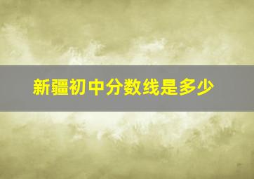 新疆初中分数线是多少