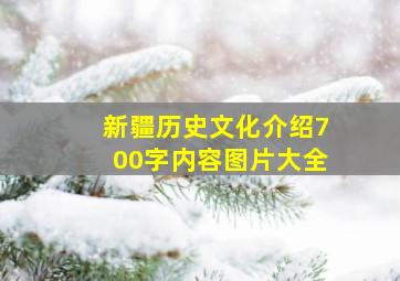 新疆历史文化介绍700字内容图片大全