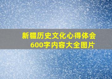 新疆历史文化心得体会600字内容大全图片