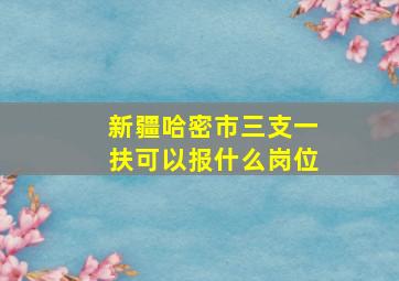 新疆哈密市三支一扶可以报什么岗位