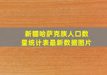 新疆哈萨克族人口数量统计表最新数据图片