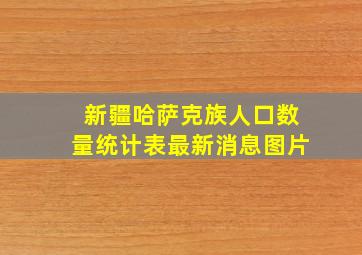 新疆哈萨克族人口数量统计表最新消息图片