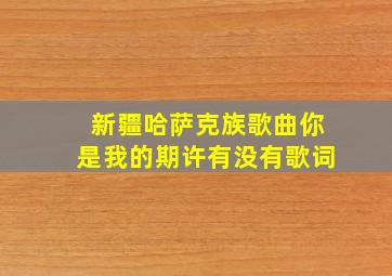 新疆哈萨克族歌曲你是我的期许有没有歌词