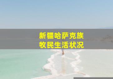 新疆哈萨克族牧民生活状况