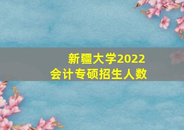 新疆大学2022会计专硕招生人数