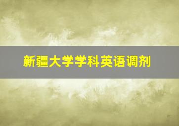 新疆大学学科英语调剂