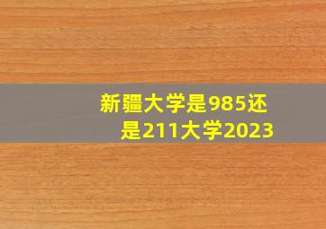 新疆大学是985还是211大学2023