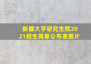 新疆大学研究生院2021招生简章公布表图片