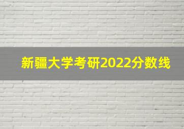 新疆大学考研2022分数线