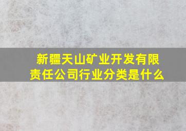 新疆天山矿业开发有限责任公司行业分类是什么