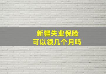 新疆失业保险可以领几个月吗