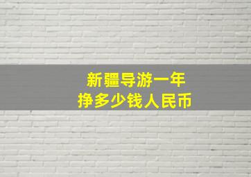 新疆导游一年挣多少钱人民币