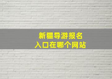 新疆导游报名入口在哪个网站