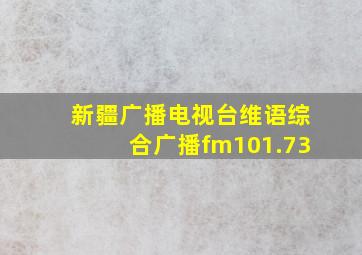 新疆广播电视台维语综合广播fm101.73